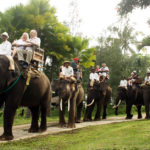Elephant Riding Tour