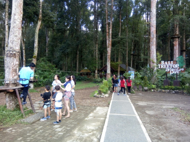 Bali Tree Top Adventure Park