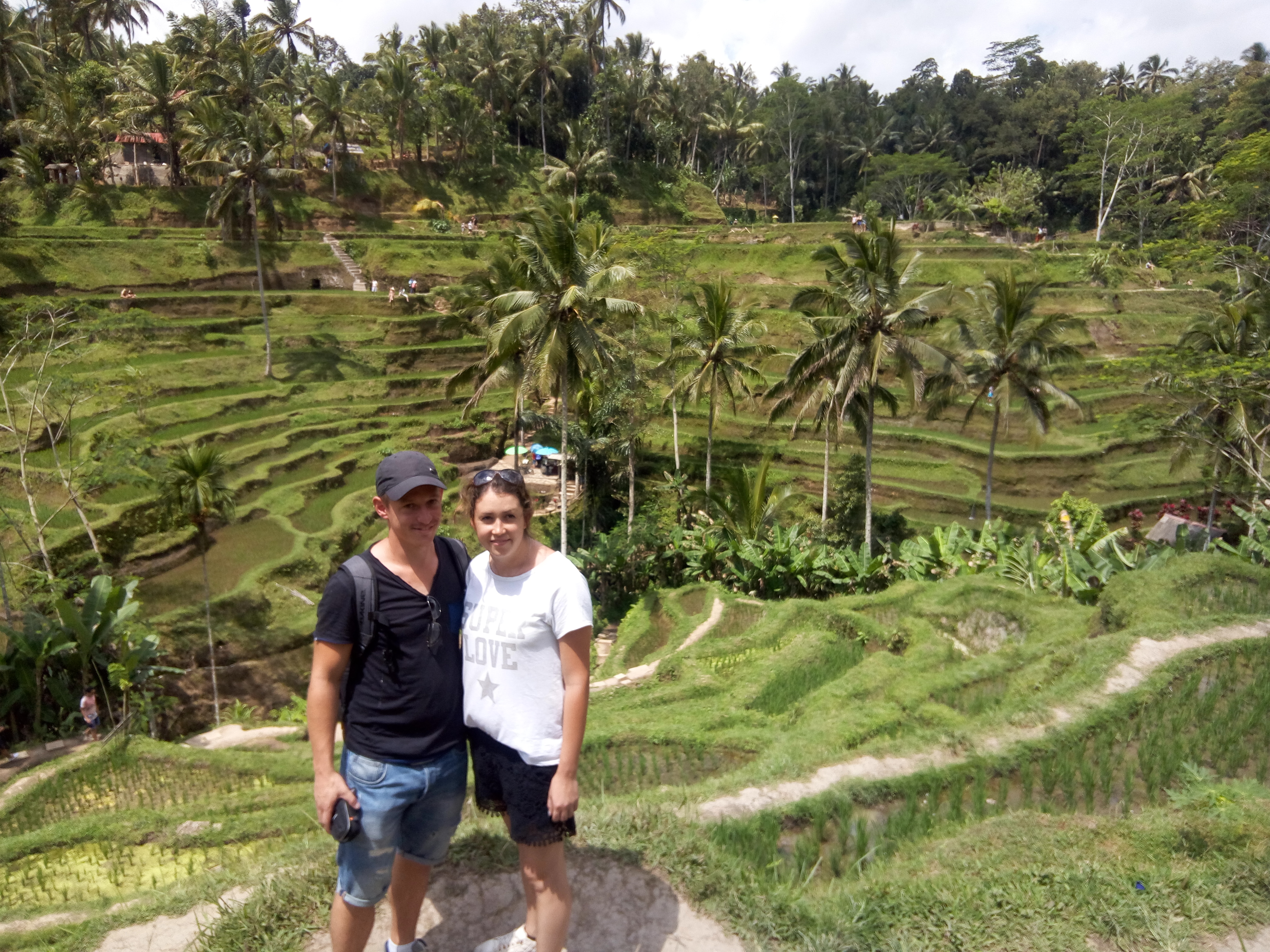 Tegallang Terrace Rice Fields